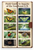 Field Guide to Insects of the Southeast US Educational 12x18 US Made Poster