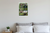 Endangered Species in the South Educational Wildlife 12x18 US Made Poster