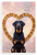 My Fur Baby Beauceron Dog Heart Dog Bone Frame 12x18 US Made Poster