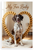 My Fur Baby Pointer Dog Dog Bone Heart Frame 12x18 US Made Poster