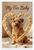 My Fur Baby Norwich Terrier Dog Bone Heart Frame 12x18 US Made Poster