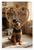 Dog Mom Welsh Terrier Heart Dog Bone Frame Cozy Room 12x18 US Made Poster