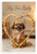 My Fur Baby Tibetan Spaniel Dog Bone Heart Frame 12x18 US Made Poster