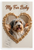 My Fur Baby Bearded Collie Dog Bone Heart Frame 12x18 US Made Poster