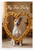 My Fur Baby Smooth Fox Terrier Dog Bone Heart Frame 12x18 US Made Poster