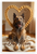 Belgian Laekenois Dog Dog Mom Bone Heart Frame 12x18 US Made Poster