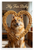 My Fur Baby Finnish Spitz Dog Bone Heart Frame 12x18 US Made Poster