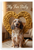 My Fur Baby Grand Basset Griffon Vendeen Dog Bone Heart 12x18 US Made Poster