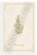 Rosemary Herb Botanical Illustration Provençal Kitchen 12x18 US Made Poster