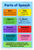 Parts of Speech Educational Chart Noun Verb Adjective 12x18 US Made Poster
