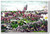 Battle of Belmont 1899 Boer-British War - NEW Classroom Social Studies Poster