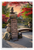 "It is better to be a warrior in the garden, than a gardener in a war" Japanese Garden Inspirational 12x18 US Made Poster