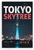 Tokyo Skytree Cityscape Night View 12"x18" US Made Poster