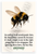 Bumblebee Flying Quote Motivational 12"x18" US Made Poster