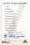 Ancestry Family Tree 4094 Ancestors Over 400 Years Educational 12x18 US Made Poster