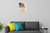 First Amendment US Flag Patriotic Constitution 12x18 US Made Poster
