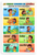 Spanish Verbs — 3 Poster Set — 12x18 Inch | Made in USA
