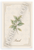 Kitchen Herb Wall Art — 3 Poster Set — Basil, Oregano, Parsley — 12x18 Inch | Made in USA