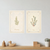 Botanical Herb Prints — 2 Poster Set — Rosemary, Thyme — 12x18 Inch | Made in USA