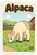 Alpaca Children's Farm Illustration 12"x18" US Made Poster