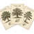 Trees of the Northeast — 3 Poster Set — Sugar Maple, Eastern White Pine, White Oak — 12x18 Inch | Made in USA