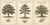 Trees of the Northeast — 3 Poster Set — Sugar Maple, Eastern White Pine, White Oak — 12x18 Inch | Made in USA