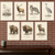 Mockup 5