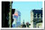 The Twin Towers NYC - September 11th Terrorist