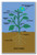 Root System - NEW Classroom Science Poster