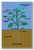 Root System - NEW Classroom Science Poster