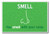 Smell - NEW Classroom Science Poster