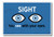 Sight - NEW Classroom Science Poster