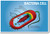 Bacteria Cell Biology NEW CLASSROOM BIOLOGY SCIENCE POSTER