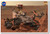 Curious? Mars Curiosity 3