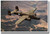 B25 In Flight - NEW Military US Air Force Army Navy POSTER