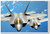 Pair of F-22 Airforce Raptors