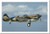 WWII P40 Mustang Aircraft in flight Poster