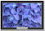 Blue Hydrangea Flower