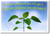 If You Are Persistent You Will Get It If You Are Consistent You Will Keep It New Motivational Poster (cm1179) plant student teacher