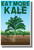 Eat More Kale - NEW Healthy Snacks and Nutrition Poster (he077)