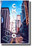  Chicago Illinois Street View - NEW U.S State Travel Poster