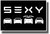 Tesla - SEXY - Black & White - NEW Humorous Electric Car POSTER