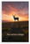 "Your Soul Never Changes" Inspirational Buck Sunset 12x18 US Made Poster