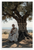 Aristotle "High-Minded Man Must Care More for Truth" Inspirational 12x18 US Made Poster
