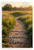 "Everyone is Welcome Here" Serene Path Landscape 12x18 US Made Poster