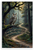 Falkland's Law 'If You Don't Have to Make a Decision Then Don't Decide' Owl Forest 12x18 US Made Poster