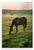 Horse Grazing in Lush Green Pasture at Dawn Nature Wildlife 12x18 US Made Poster