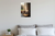 Serene Cat Napping in Sunbeam Windowsill Realistic 12x18 US Made Poster