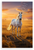 Powerful White Horse Golden Pasture Sunset Wildlife 12x18 US Made Poster