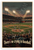 "There's No Crying in Baseball" Vintage Stadium Motivational 12x18 US Made Poster
